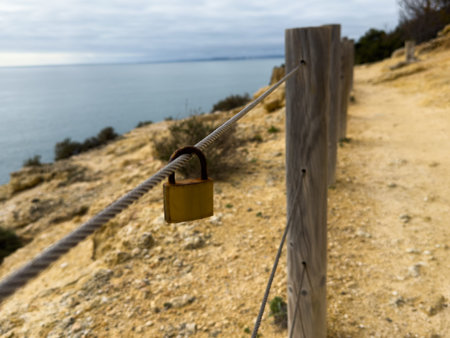 Padlocks are left on the fence at the top of the viewpoint
