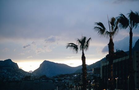 palm trees in summer against the evening sky on the Mediterranean sea on the beachの写真素材