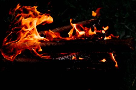 beautiful clear tongues of orange bright flame from a fire in the dark from a burning logの写真素材