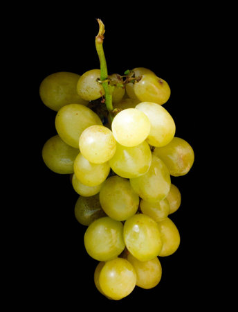 grape  on black bottom