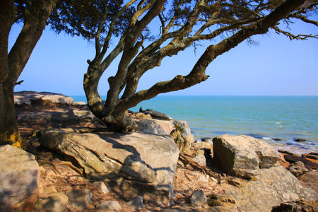 Beach of the Lady Noirmoutierの写真素材