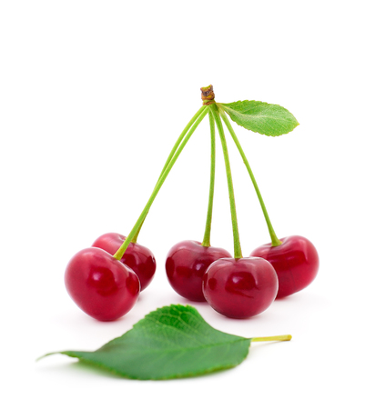 Ripe cherrys with petioles isolated on white background.の写真素材