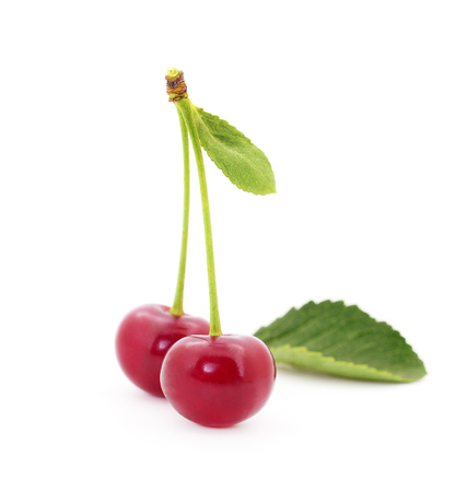 Ripe cherrys with petioles isolated on white background.の写真素材