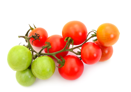 Closeup of tomatoes on the vine isolated on white.の写真素材