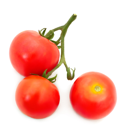 Closeup of tomatoes on the vine isolated on white.の写真素材