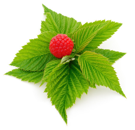 Ripe red raspberries isolated on white background.の写真素材