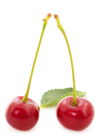 Ripe cherrys with petioles isolated on white background.の写真素材