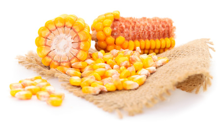 Ripe corn isolated on a white background.の写真素材
