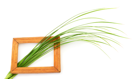 Blank wooden photo frame on green grass.の写真素材