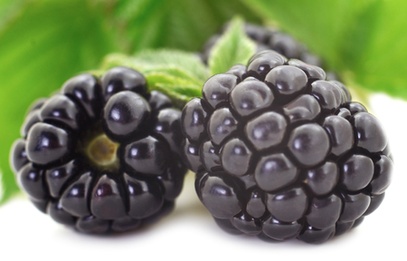 Group of ripe blackberries with green leaves isolated on white background.の写真素材