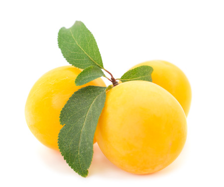 Sweet yellow plum isolated on white background.の写真素材