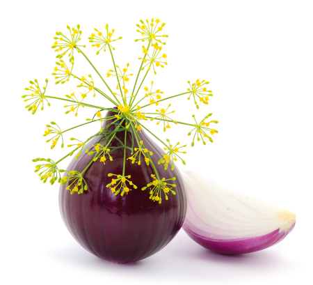 Purple onion and dill  isolated on white background.の写真素材
