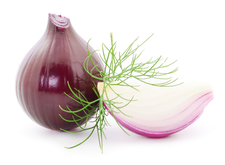 Purple onion and dill  isolated on white background.の写真素材