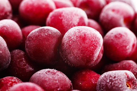 Group of frozen cherries on a white background.の写真素材