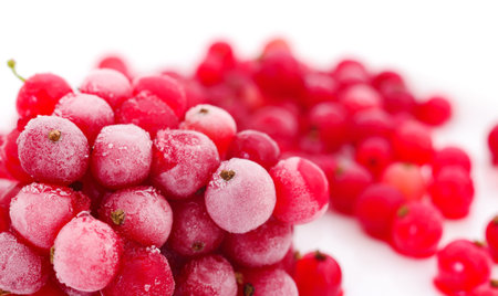 Red currant berries. Taken out from the freezer are slowly melting.