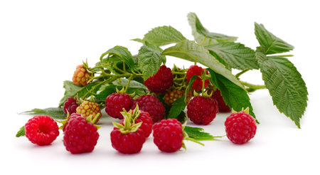 Ripe red raspberries isolated on white background.