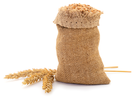 Sack with grain and ear of wheat  isolated on white background.の写真素材