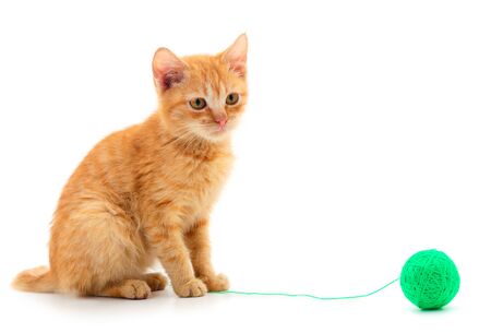 Little kitten playing with a ball of yarn isolated on white background.の写真素材