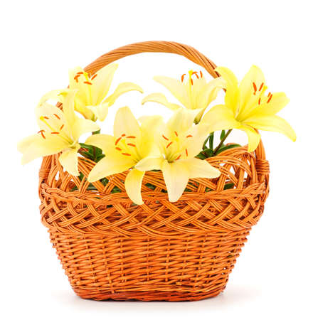 Bouquet of orange lilies in a gift basket isolated on white backgraund.の写真素材