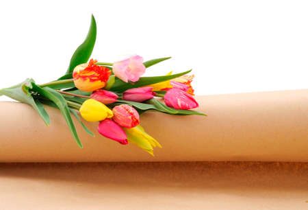 Colorful bouquet of tulips on white background. Spring background.の写真素材