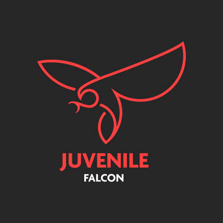 Eagle bird Logo abstract design. Flying Soaring Falcon Logotype concept icon.のイラスト素材
