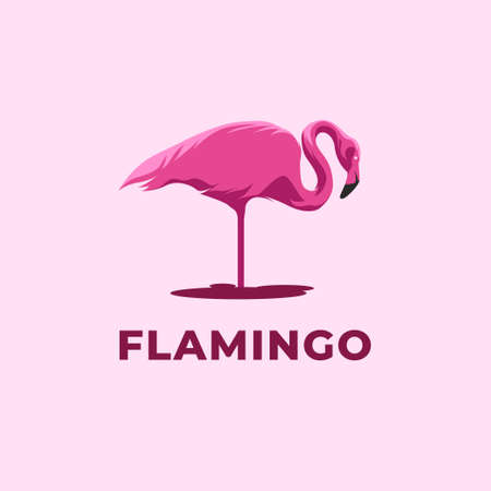 Flamingo bird illustration design on backgroundのイラスト素材