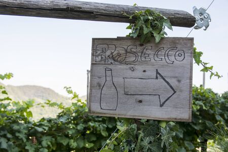 Prosecco sign, directing to a prosecco wine, winery, Veneto region, Italy