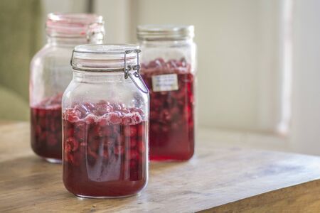 Homemade Vishniac or Visinata liqueur, made of sour Vishnia Cherries. The fruits are being fermented...