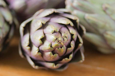 Close up of a beautiful Globe Artichoke (Cynara cardunculus var. scolymus), also known by the names French artichoke and green artichoke, in colors of green and purpleの写真素材