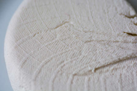 Close up view of an homemade Paneer, fresh Indian cottage cheese, on a white plate