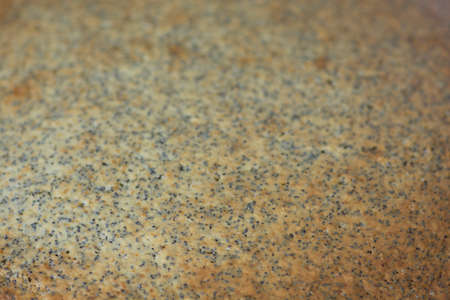 Close up of a baked Poppy Seed Cakeの写真素材