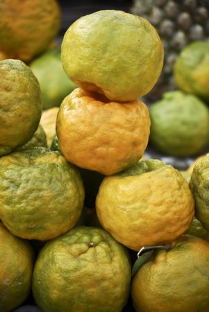 Green Orangeの写真素材