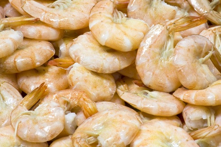 Close up boiled shrimpの写真素材