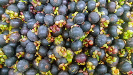 Mangosteen background, pile up in supermarket close upの写真素材