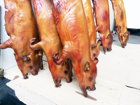 Group of whole roasted pigの写真素材