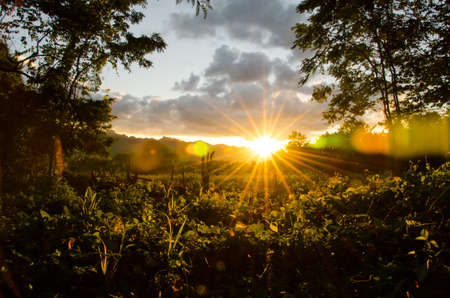beautiful sunset time at the mountainの写真素材