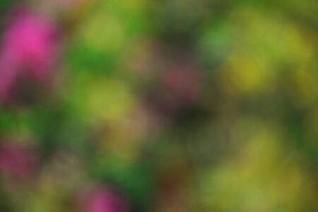 easy to use beautiful view of nature blur backgroundの写真素材