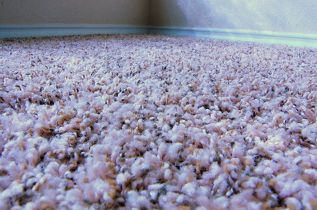 Close Up Home Carpetの写真素材