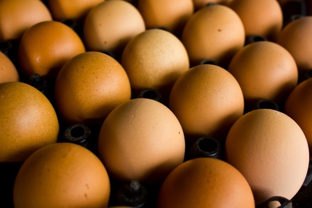 Group of fresh eggs in paper tray
