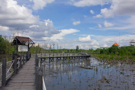 Stock Photo - Pavilion in the dense woodsの写真素材