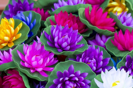 Stock Photo - lotus lanternの写真素材