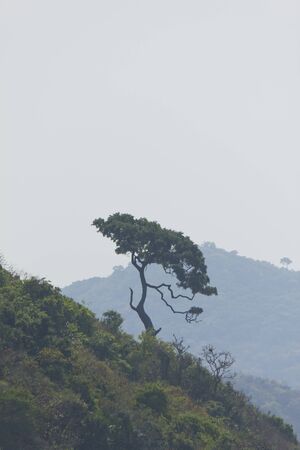 view point Koh Larn island of Thailandの写真素材