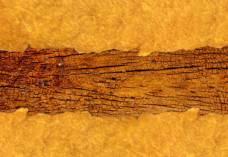Old paper on wooden wall Stock Photo