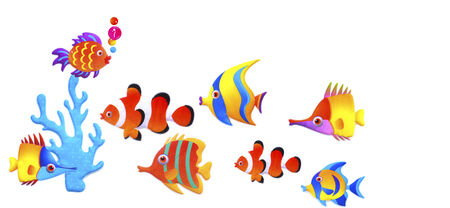 close up shot of a Clown Fishの写真素材
