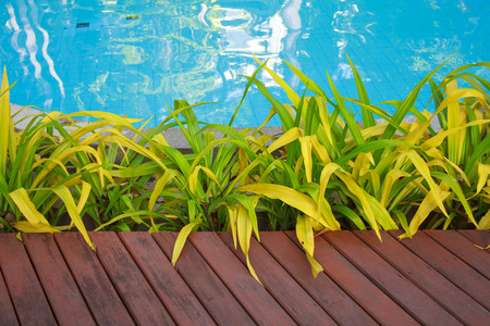 Wooden planks.の写真素材
