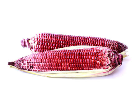 Colorful corn on white backgroundの写真素材