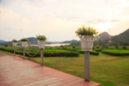 Pot with flowers in rustic gardenの写真素材