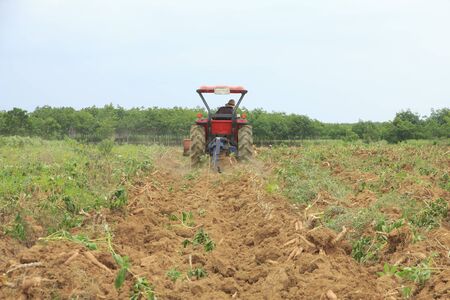 Farmer was drove tractor plowing the soil to harvest cassavaの写真素材