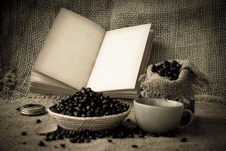 Old opened book with empty pagesの写真素材