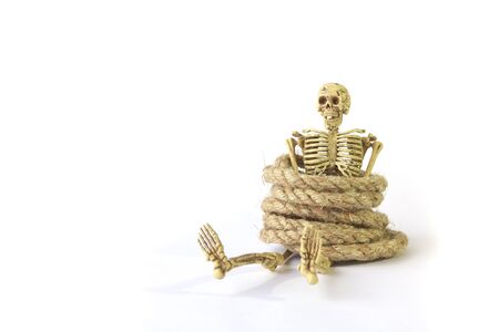 Human skeleton with rope on white  backgroundの写真素材